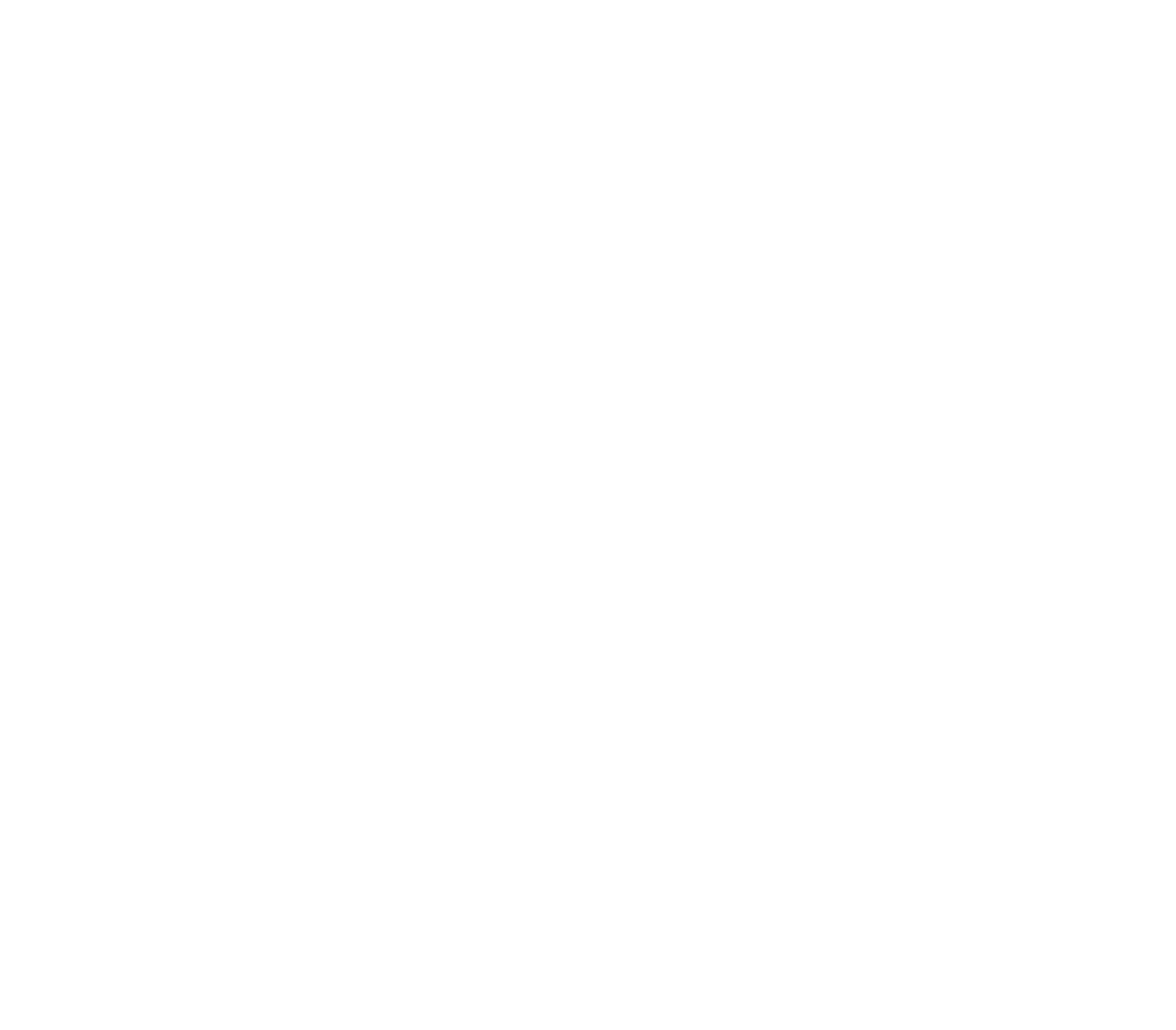 Anovox icon, white